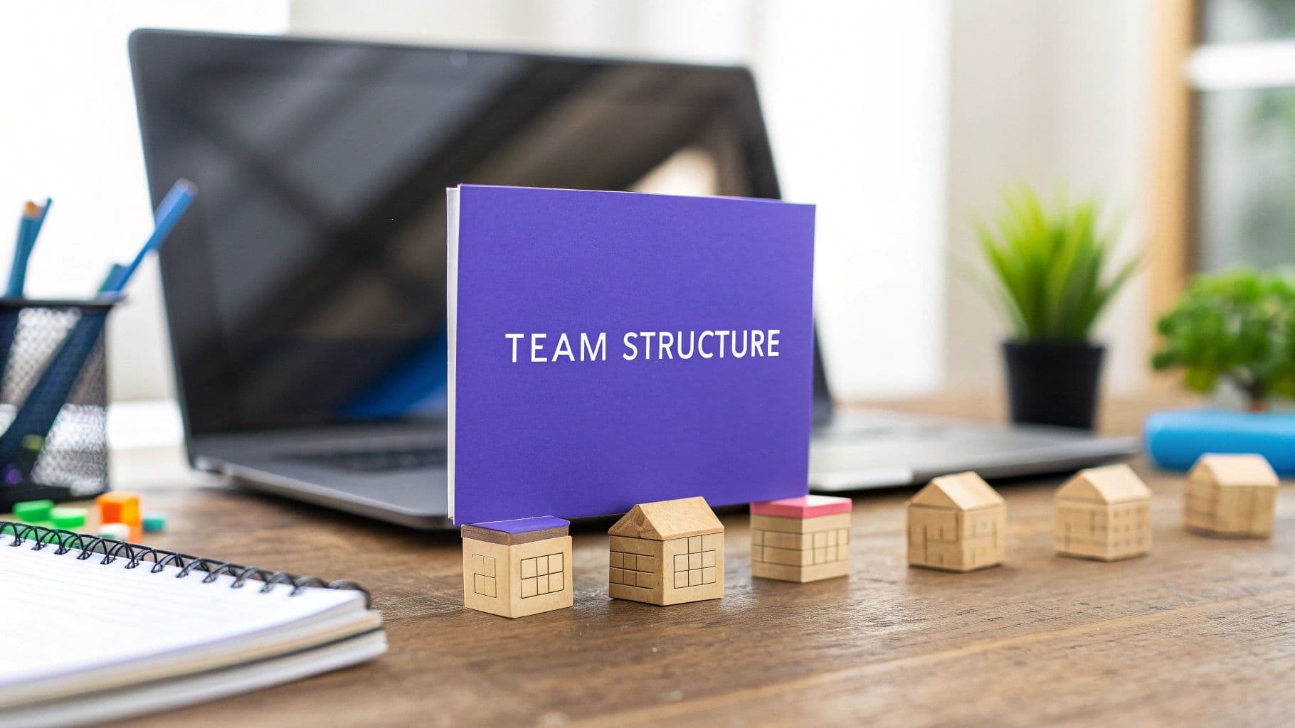 Choosing a Software Development Team Structure